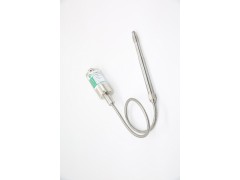 軟管型壓力變送器：PT123B