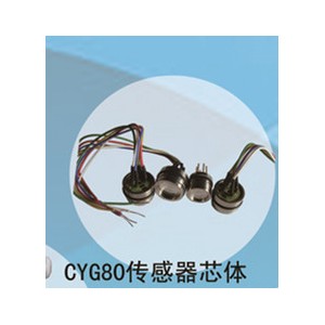 兆恒傳感器廠價供應CYG80傳感器芯體