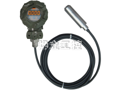 WMY-D纜式帶顯示液位變送器