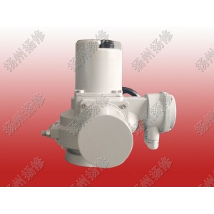 調節型電動頭DQW20-WT DQTZ30