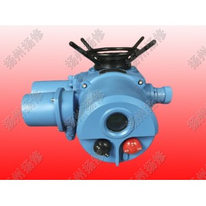 整體調節型電動執行器DZW120-WT DZTZ120