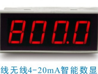 二線制無(wú)源型可編程控制4-20mA回路數(shù)顯表