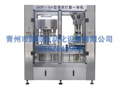 供應山東高質量玻璃水生產設備 玻璃