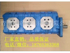 【吊車泵@昭德】供應(yīng)優(yōu)質(zhì)中聯(lián)浦沅吊