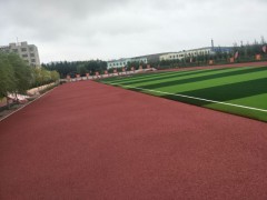 云南省臨滄市專業學校操場運動場透