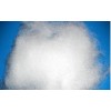 優(yōu)質(zhì)填充棉要上哪里買|PP棉供應商