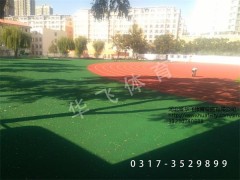 湖南省湘潭市塑膠跑道|塑膠跑道廠家