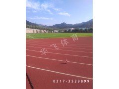 江西省撫州市塑膠跑道|塑膠跑道廠家