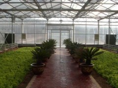 happy生態餐廳溫室專業建設，山東草