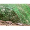 河北優良的包塑邊坡防護網 山東包塑邊坡防護網