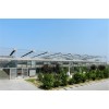 單體大棚/連體大棚/玻璃溫室大棚/溫室大棚建設