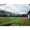 優質花卉溫室建設——花卉專用溫室大棚建設