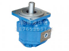 【現(xiàn)貨！】【廈工XG951裝載機轉(zhuǎn)向泵