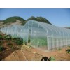 傾銷裝配式單體大棚-優質裝配式單體大棚選南京多旺溫室工程