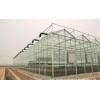 鑫茂溫室工程專業承建溫室大棚 玻璃溫室建設價格