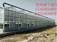 淄博溫室大棚建設(shè)-淄博哪里有建溫室