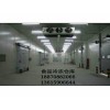 吉安火鍋料冷凍庫/泰和火鍋料冷凍庫/冰淇淋冷凍庫廠家