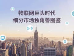 物聯網巨頭時代下細分市場獨角獸圖鑒