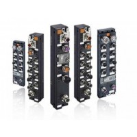 歐利德儀器儀表分布式現場總線系統Lion-link