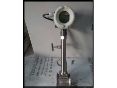 渦街流量計(jì)