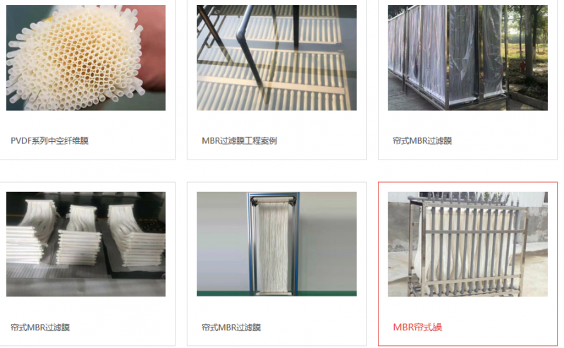 QQ圖片20190527065511