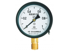 YT系列特種壓力表