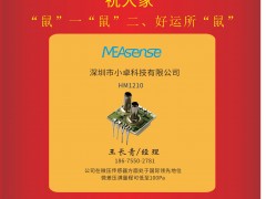 深圳小卓科技有限公司 經(jīng)理王長(zhǎng)青 2020新春寄語(yǔ) 一百零八星報(bào)喜之地然星