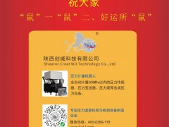 陜西創威科技總經理：吳洪威2020新春寄語 一百零八星報喜之天英星