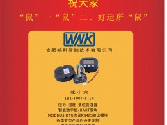 皖科智能總經理 張從江 2020新春寄語 一百零八星報喜之天魁星