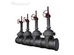 ASME B16.34 Gate Valve