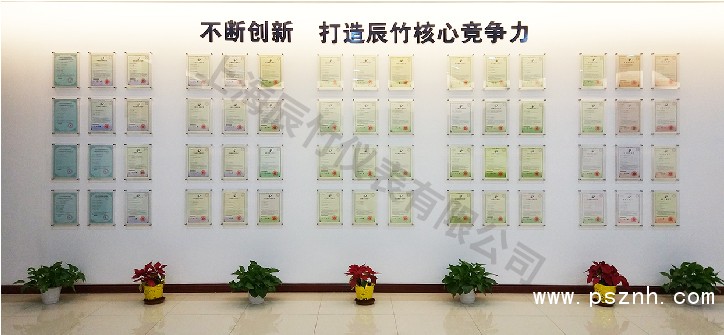 榮譽 | 辰竹董事長王竹平獲評CAIMRS領軍力量之智未來·產業先鋒