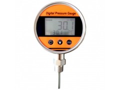 寶雞市普瑞思電子PYB118高精度數字