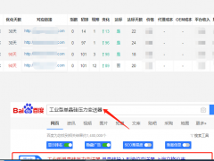 儀器儀表SEO優化案例  上海立格儀表