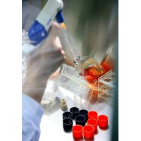 制藥項目設施設備工程實施難點解析會議