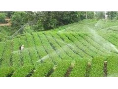 水肥一體化控制系統