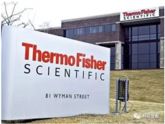 先放過芯片吧，中國這個行業可能更悲情