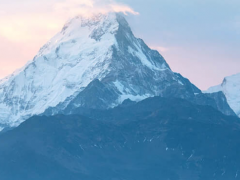 數字新基建，線上新經濟 上海電氣“吸睛”上交會海外展