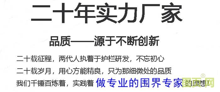 二十年實力廠家