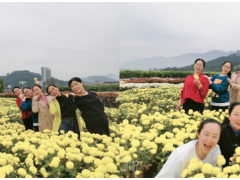 秋意深濃旅意遲，萍蹤眾聚恰當時---虹潤公司的開心一刻