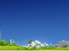 蘇州計量測試院“數字指示秤能力驗證”取得滿意結果