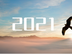 乘“峰”而上,智“盈”未來(lái) 盈峰環(huán)境邁上了2021新征程