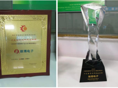 技術創新 再接再厲 維博電子榮獲“十大電子元件杰出品牌”稱號