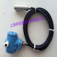 鹽溶液投入式靜壓液位計