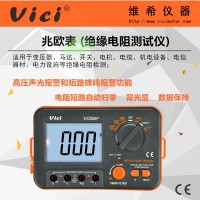 絕緣電阻測(cè)試儀VC60B+ 聲光報(bào)警兆歐表