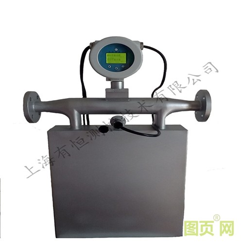 有恒質(zhì)量流量計_副本