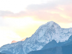 “關注新基建 轉型新氣象”上海電氣發展新思路