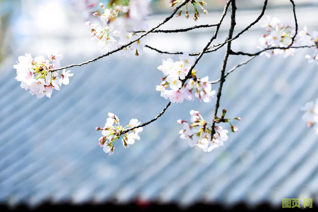 1616998059574358D1yE.png 1616998059574358D1yE.png