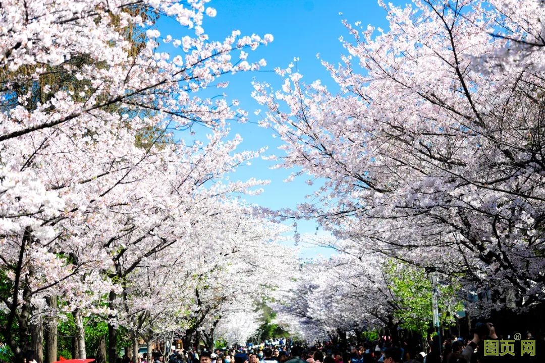 1616988299945257WhcF.jpg 1616988299945257WhcF.jpg