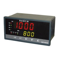 溫州新樂(lè)儀器儀表_XWP-ND835系列