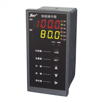溫州新樂(lè)儀器儀表_XWP-NS835系列